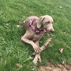 Meet your Posher, Jackie